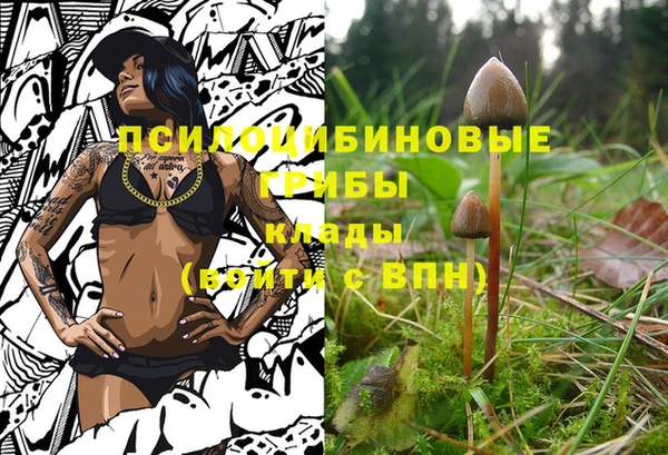 мет Карталы
