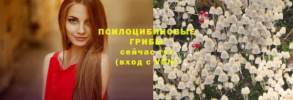 соль ск Карпинск